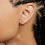 Clemence Studs Gold