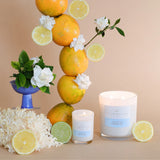 Palm Beach Yuzu & Seamoss Standard Candle