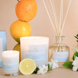 Palm Beach Yuzu & Seamoss Standard Candle