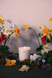 Daffodil New Beginnings 400g Candle