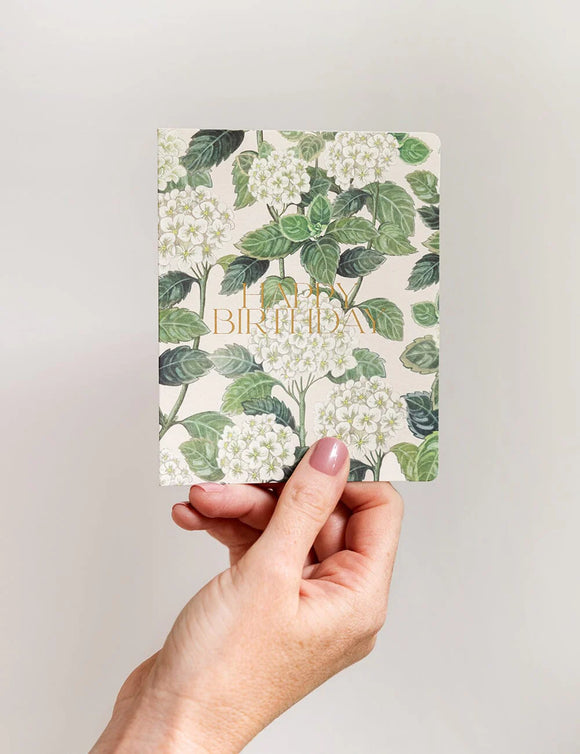 Happy Birthday Hydrangea