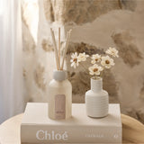 Reed Diffuser Apricot & Sweet Fig