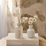 Reed Diffuser Sea Cotton & Coconut