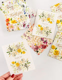 6 Pack Thank you Greeting Card Boxset - Ranunculus Study