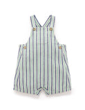Striped Overalls Iguana Stripe