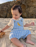 Gingham Overall Set Carribean Gingham
