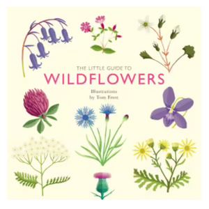 The Little Guide to Wildflowers