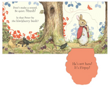 Where Is Peter Rabbit?