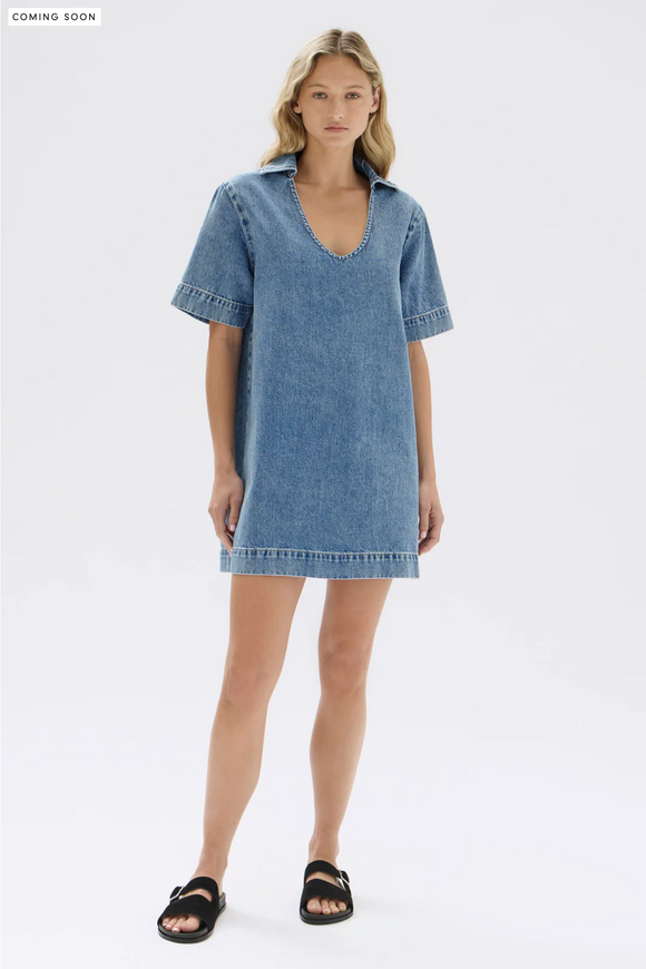 Genevieve Denim Mini Dress Dark Stone