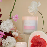 Palm Beach Pomelo & Dewberry Standard Candle