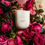 Standard Candle Rebellious Rose