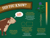 George The Farmer Haystack Hat-Trick Picture Book