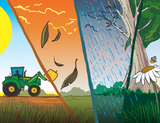 George The Farmer Plants a Wheat Crop Picture Book