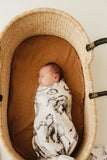 Circus Swaddle
